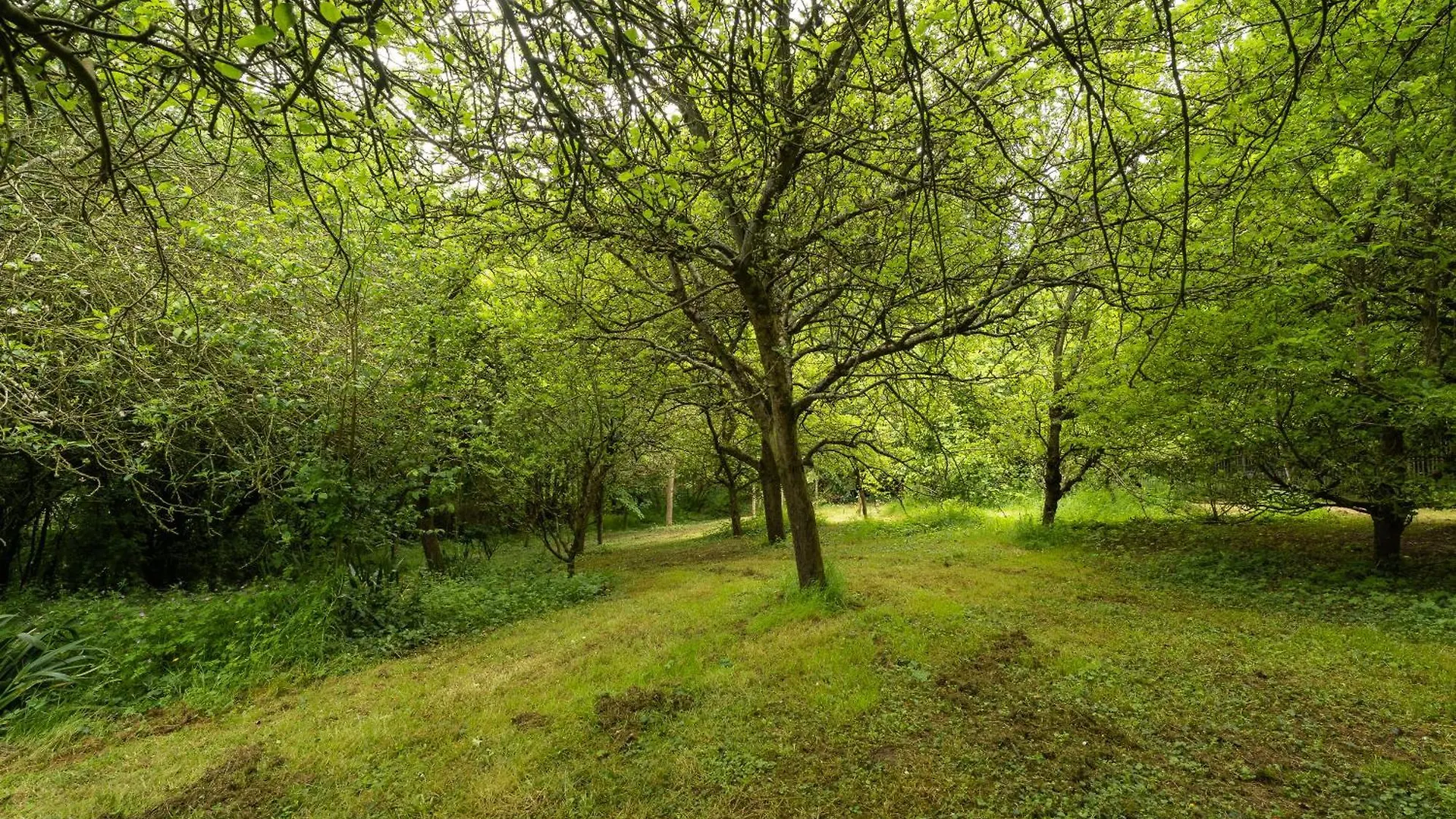 Gite Nichoir 2Ad Et 2 Enf Plurien Apartment